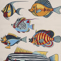 MUSEUM FISH TEA TOWEL