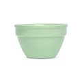 COLORWARE - EVERYTHING BOWLS - MINT (14OZ)