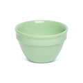 COLORWARE - EVERYTHING BOWLS - MINT (14OZ)
