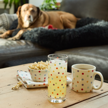 Dog lying on a couch with drinks and snacks on a coffee table