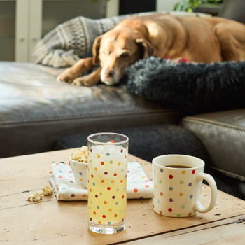 Dog lying on a couch with a glass and mug on a wooden table in the foreground.